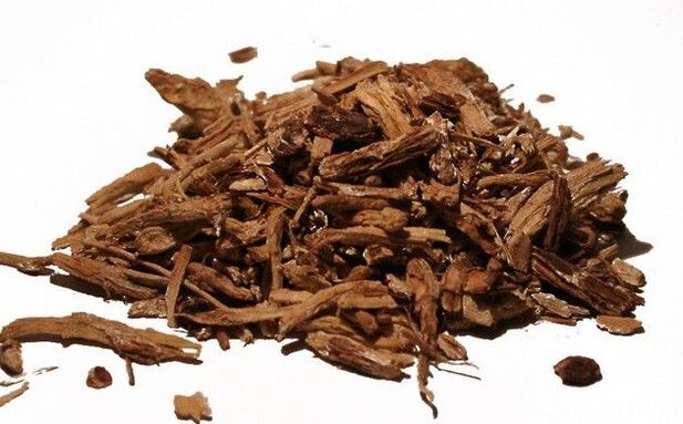 Chicory root - an effective folk remedy against parasites
