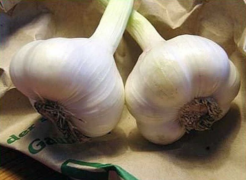 Garlic is used to make antiparasitic suppositories or enemas