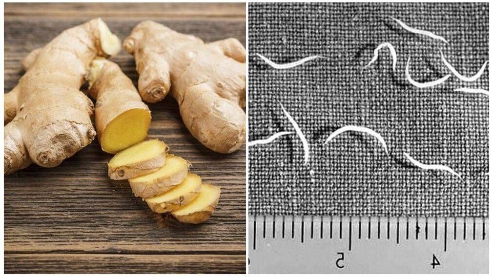 Ginger vs. Parasites