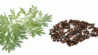 Lilac and worms to eliminate parasites in the body