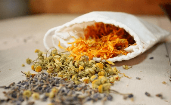 Herbal remedies for worms in adults