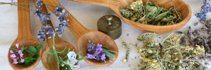 Combination herbal preparations against worms