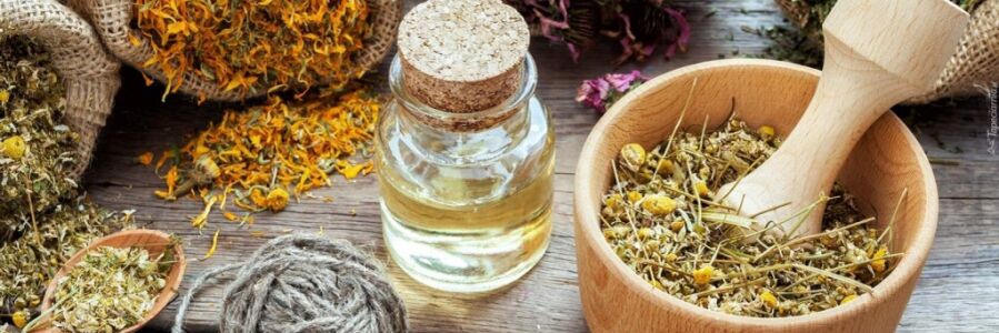 Folk remedies against worms