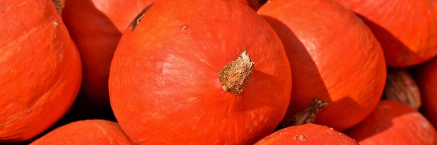 Pumpkin fights worms