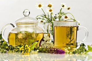 Herbal infusion of antiparasitic drugs