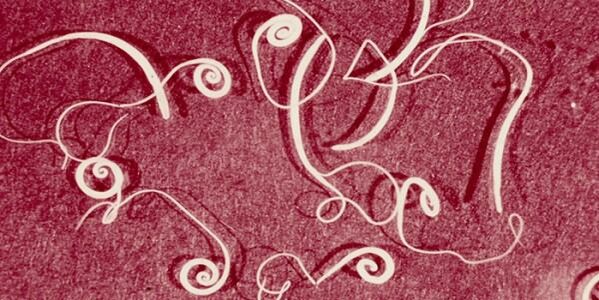 Photos of human parasites