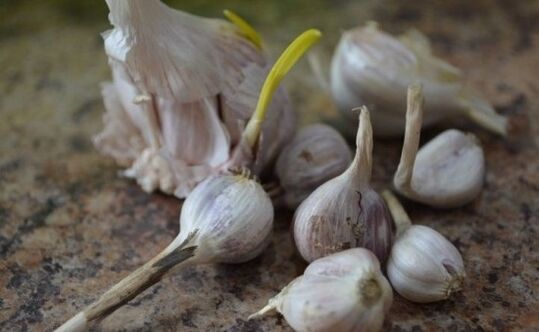 Garlic can remove parasites from the body